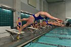 Swimming vs Bentley  Wheaton College Swimming vs Bentley. - Photo By: KEITH NORDSTROM : Wheaton, Swimming, Bentley